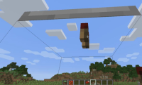 bug2.JPG