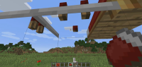 bug3.JPG