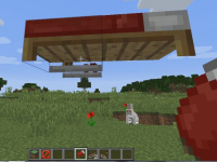 bug4.JPG