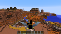 Elytra with shift.png