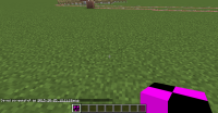Ingame Item.png