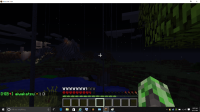 minecraft graphical glitch 3.png
