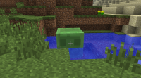 ss (2012-10-25 at 03.30.51).png