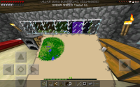 Minecraft - Pocket Edition_20160206_005728.png