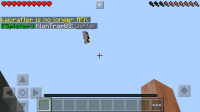 BUG.png