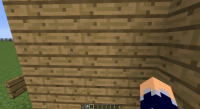 1.8.9 Example of Gap in Hitbox (Desired).png