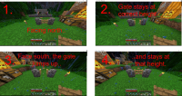 gate.jpg