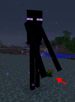 screenshot-1.jpg