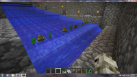 minecraftbug1.jpg