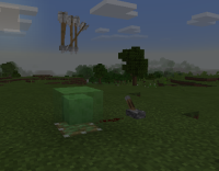 bug1win10.PNG