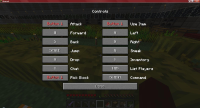 Controls.jpg