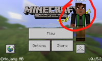 Mcbug2.jpg