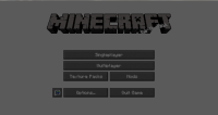 Minecraft Texture.png