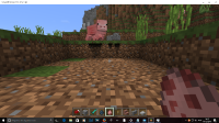 shadowbug.png