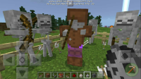 mcpemaster-2016-12-12-17-56.jpg