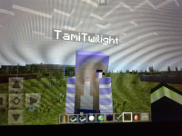 LAN Player View 2.jpg