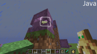 Java Shulker.jpg