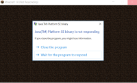 Java Crash.PNG
