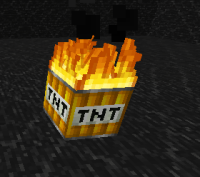 MINECRAFT BUGG.PNG