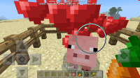 Screenshot_2017-03-05-08-18-35-414_com.mojang.minecraftpe.png