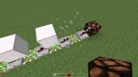 bug.jpg
