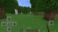 IMG_4385.PNG