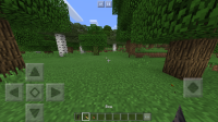 IMG_4384.PNG