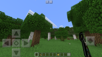 IMG_4382.PNG