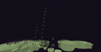 2017-04-07_20.01.36.png
