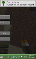 bug.JPG