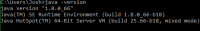 Java Version.png