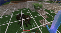 Spider under glass.PNG