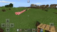 cerdo bug.jpg