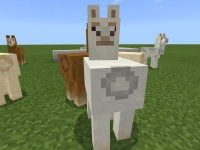 Desktop 02-06-2017 20-17-22-435.png