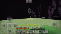 Image 2.png