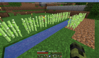 Minecraft 21.08.2017 18_11_51.png