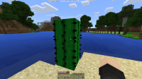 Cactus2.png