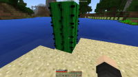 Cactus1.png