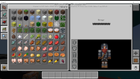 Minecraft 8_26_2017 12_46_49 AM.png