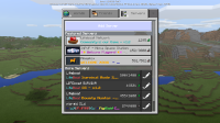 Minecraft 8_29_2017 6_56_56 AM.png