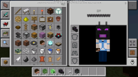 Screenshot_2017-09-19-23-51-19-704_com.mojang.minecraftpe.png
