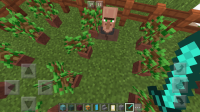Screenshot_2017-10-15-14-02-05.png