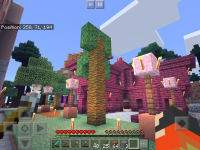 IMG_2154.PNG