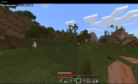 floating vines.png