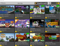 minecraft store.PNG