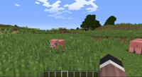 Minecraft 1.12.2 11_24_2017 10_13_27 PM.png