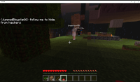 Minecraft 12_7_2017 9_57_45 PM.png