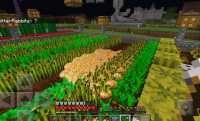 potatos.PNG