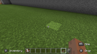 bug.PNG