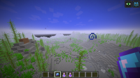 On snapshot 18w08a (how it used to be clear view).png